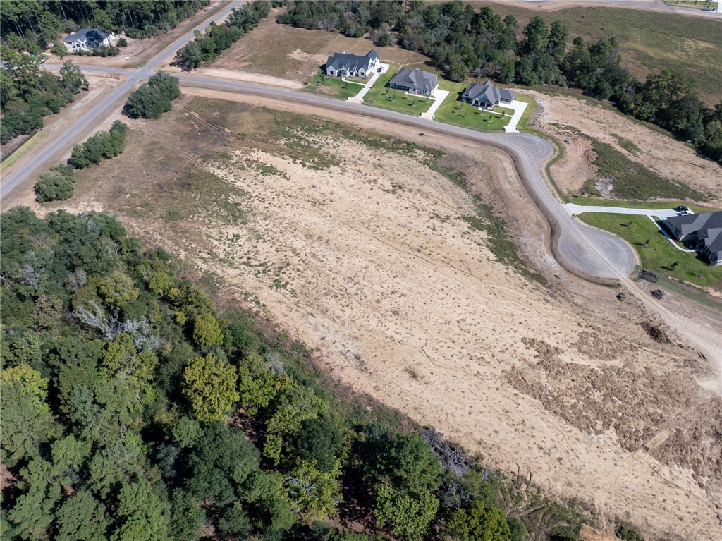 9646 Old Cedars Court