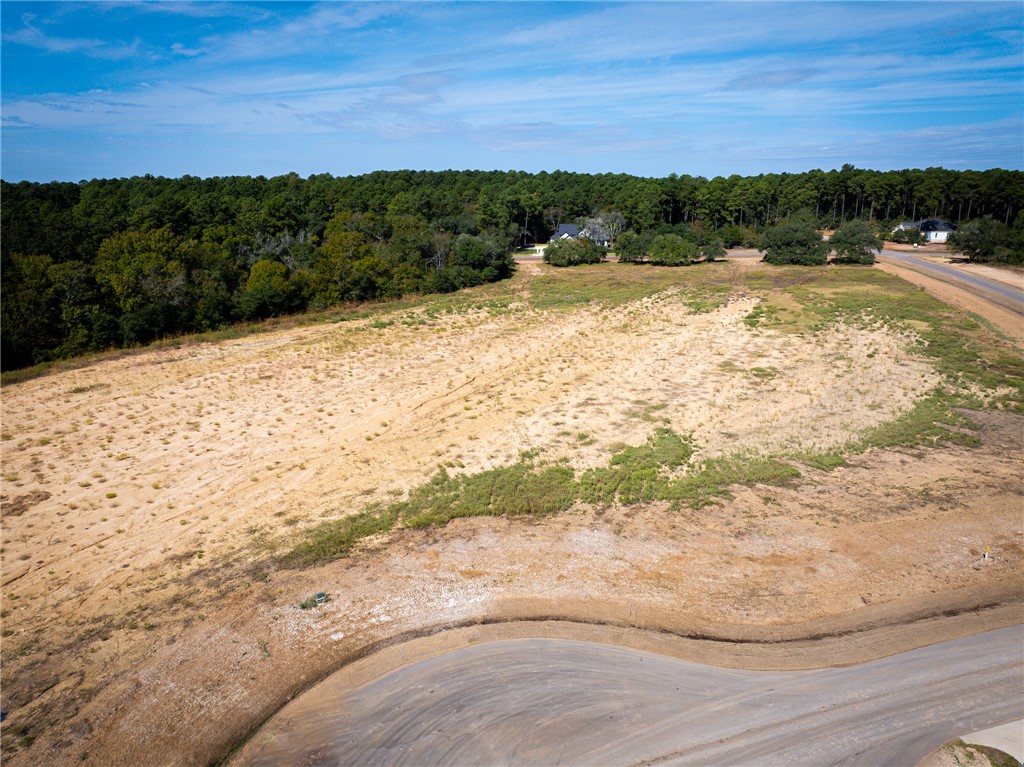 9646 Old Cedars Court