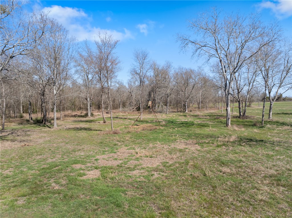 31.08 Acres CR 379