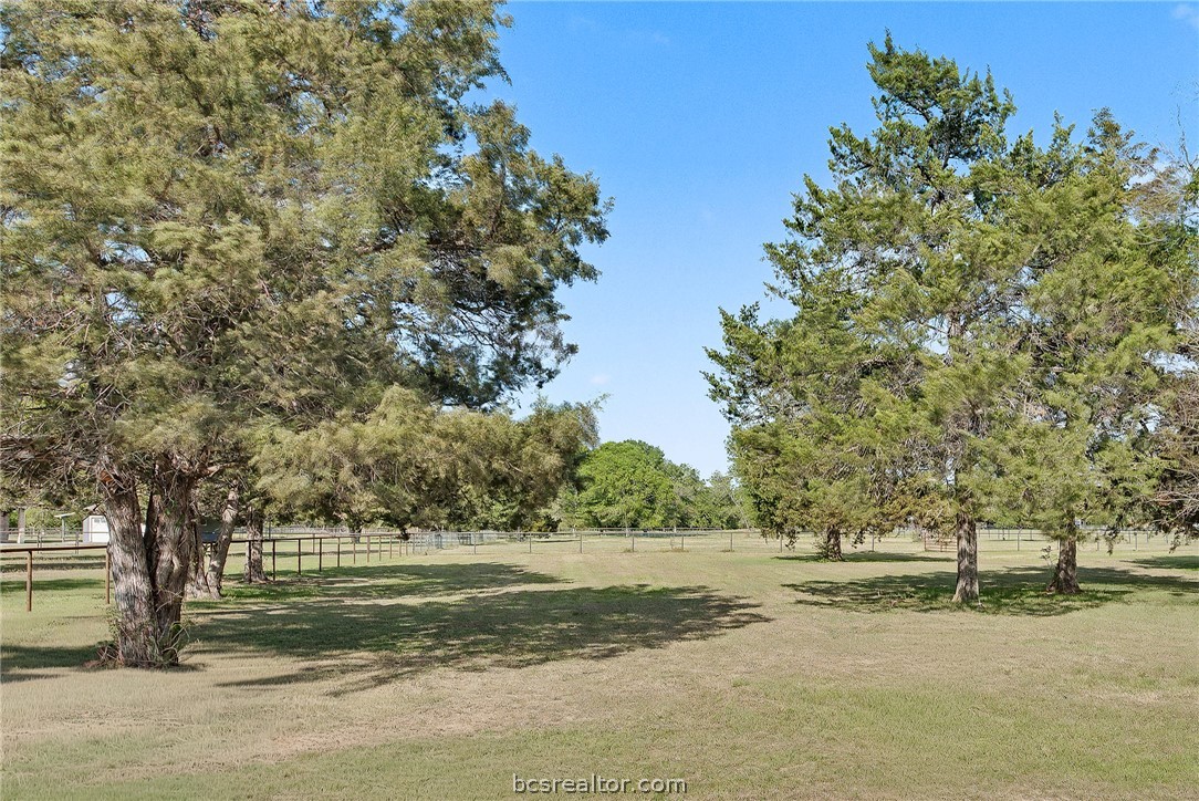 TBD 3.667AC Fazzino Lane