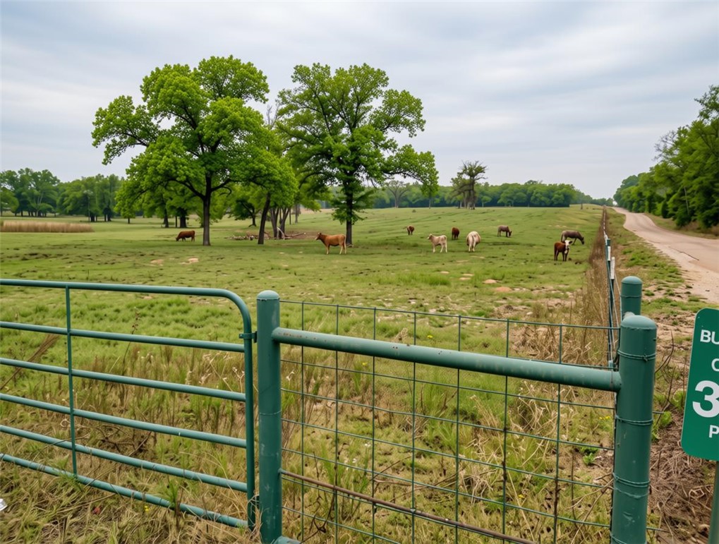 5997 County Road 308