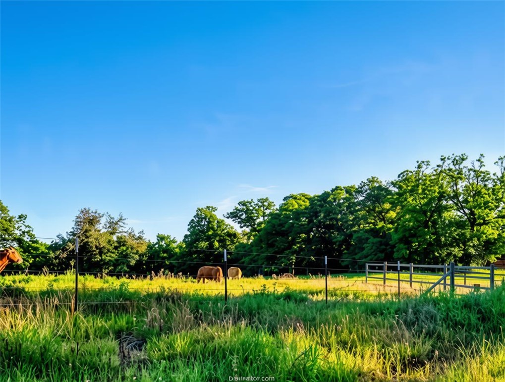 5997 County Road 308