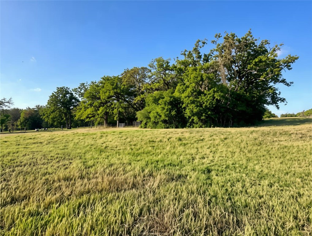 5997 County Road 308
