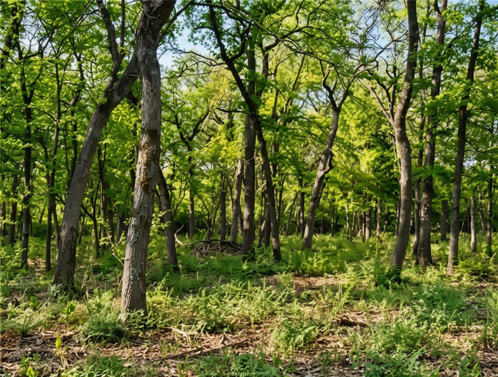 5997 County Road 308
