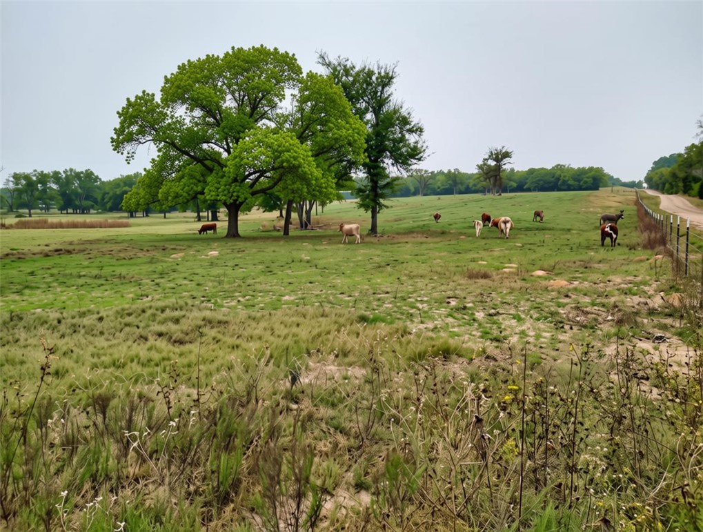 5997 County Road 308