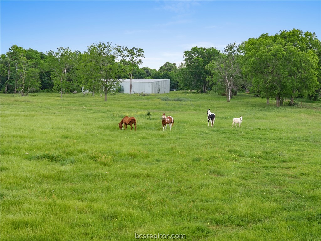 10825 West State Hwy 21