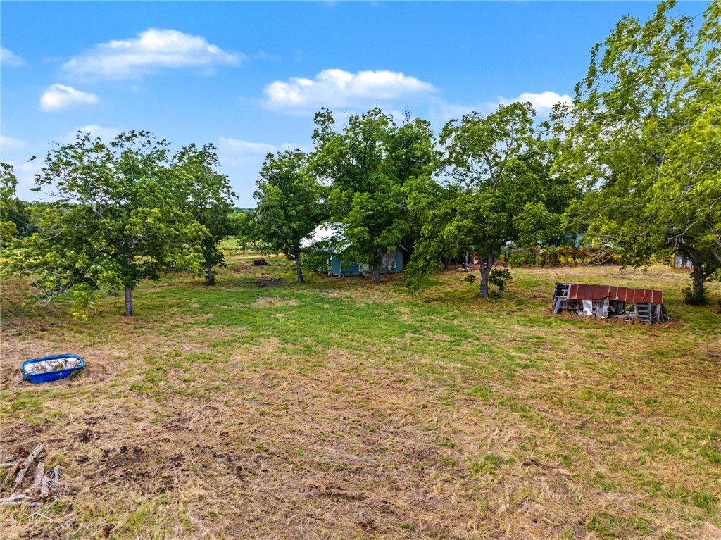 11595 Hwy 21 W
