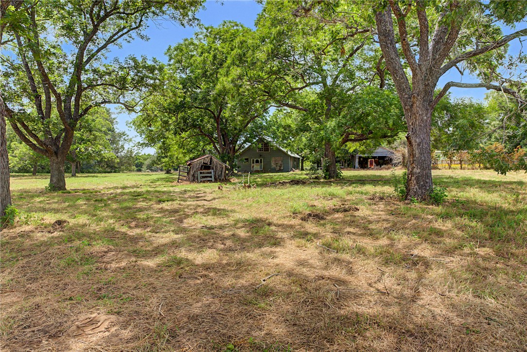 11595 Hwy 21 W
