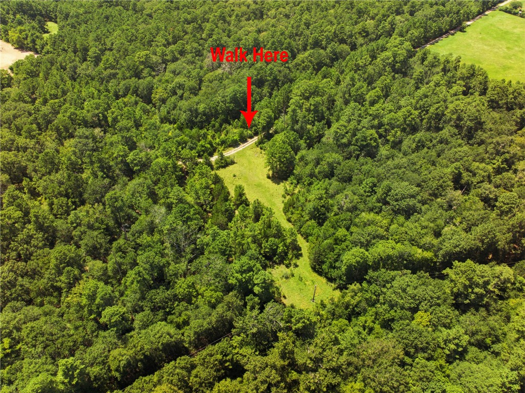 118.25 Acres CR 278C