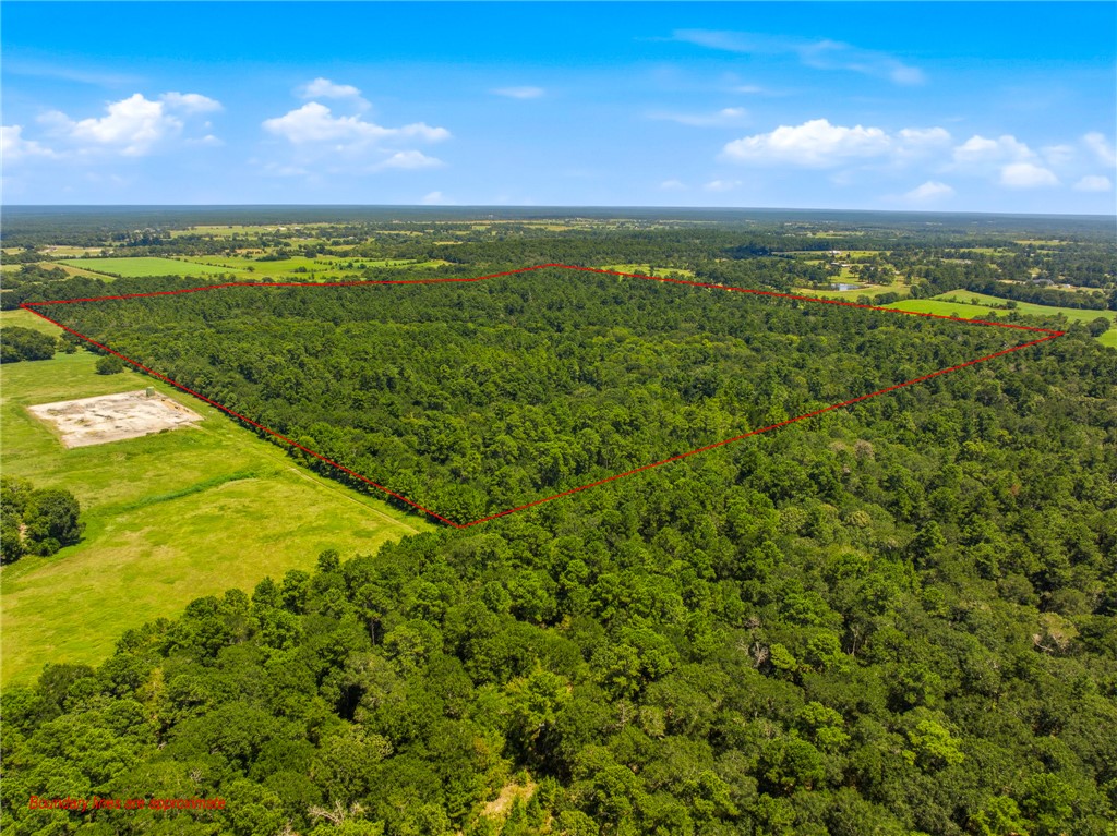118.25 Acres CR 278C