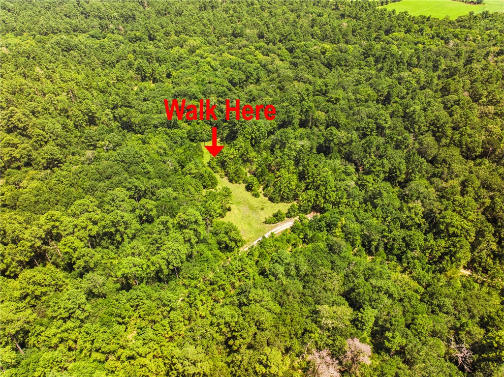 118.25 Acres CR 278C