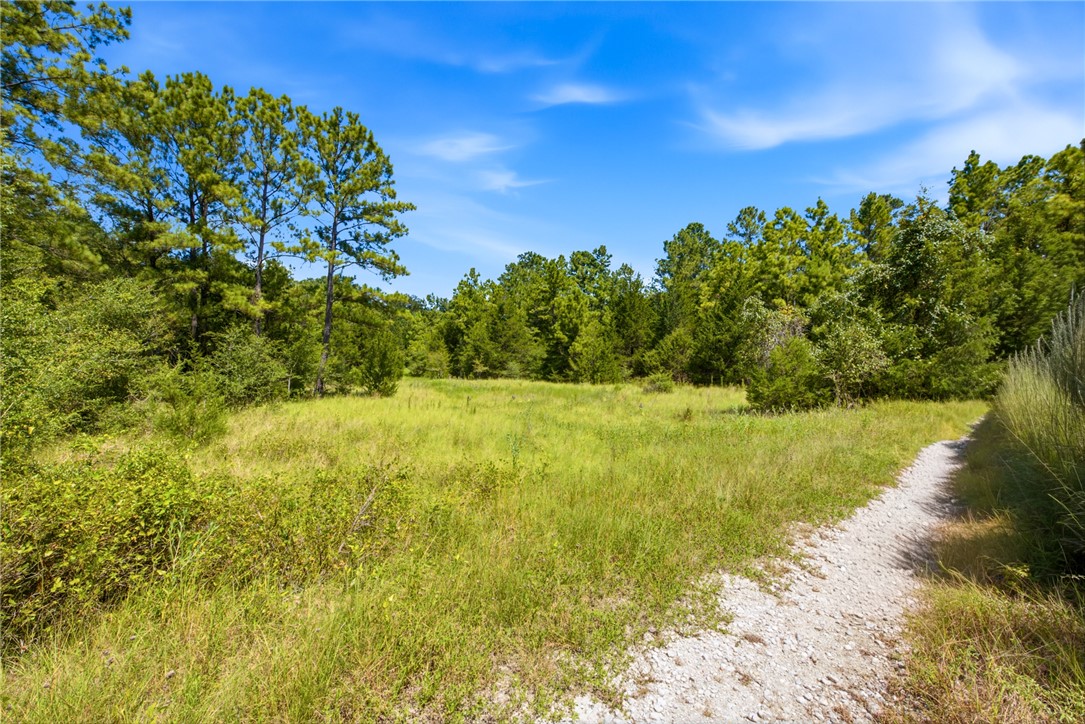 118.25 Acres CR 278C