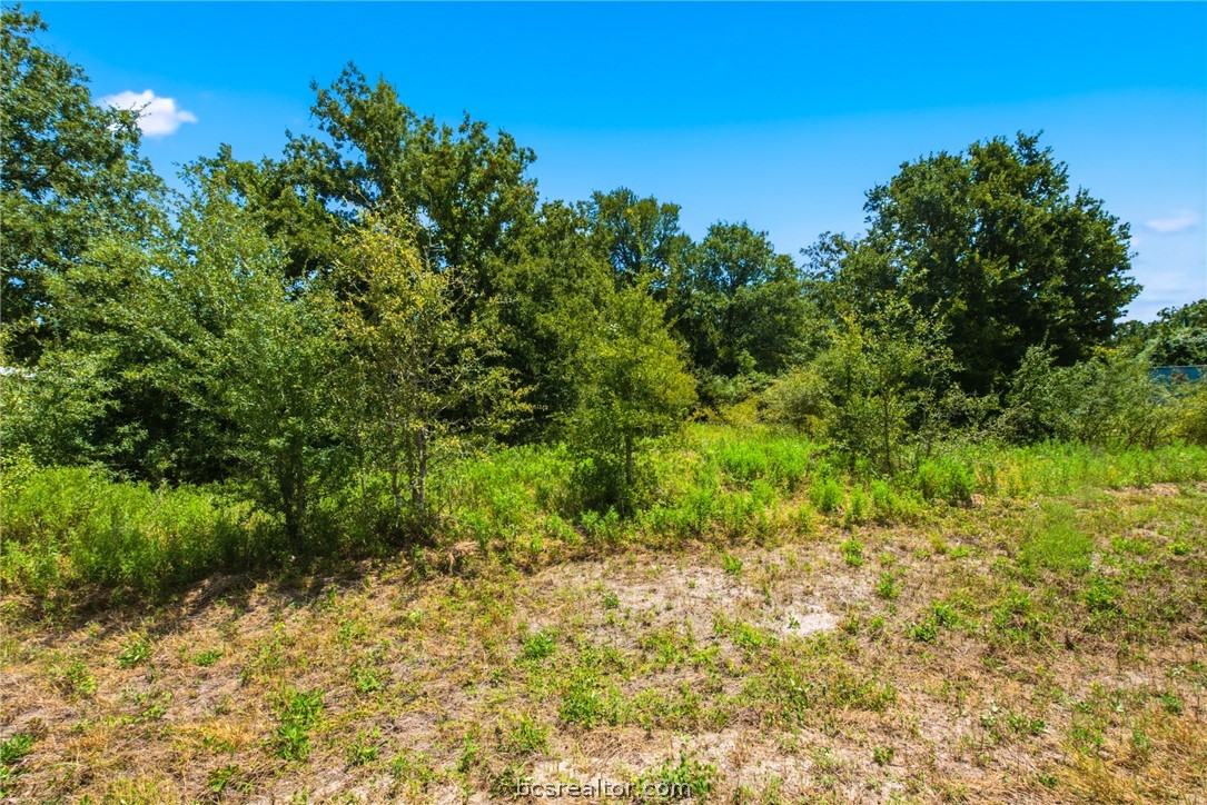 1.01 Acres County Road 436