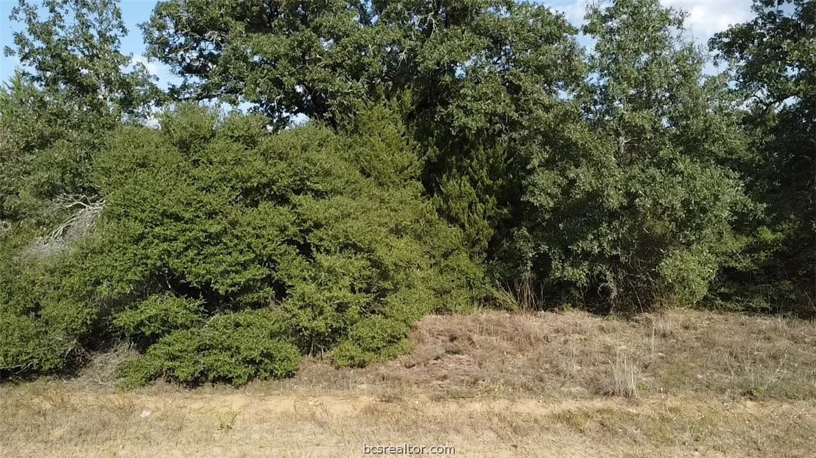 Sec 35 Block 2 Lot 4 Pin Oak Lane