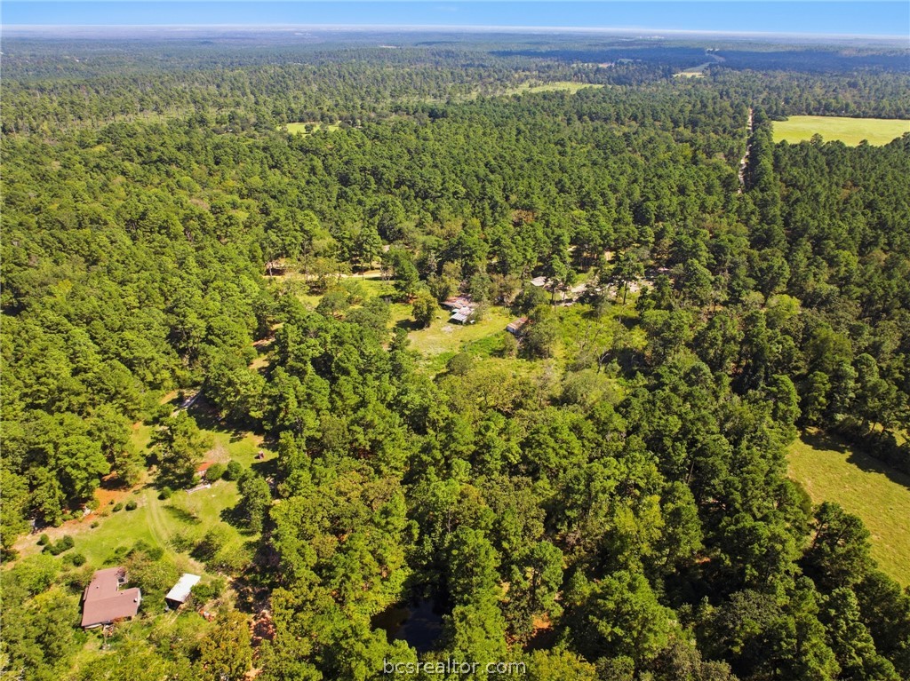 5995 PR 2065