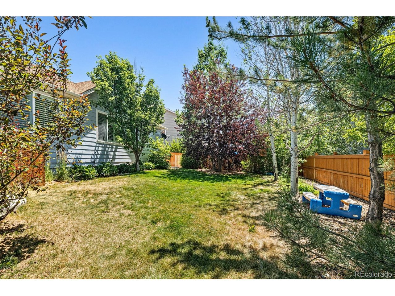 12223 S Buffalo Gap Trl