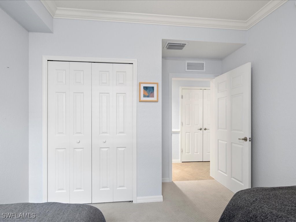 28551 Carlow CT 1101