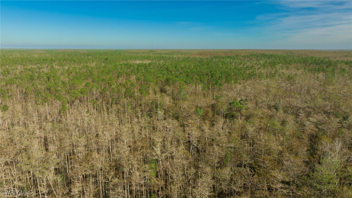 28031 Bridgetown CT 5413