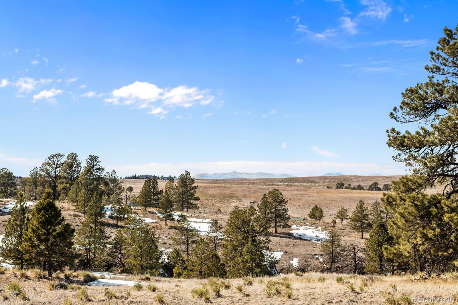 765 County Road 194