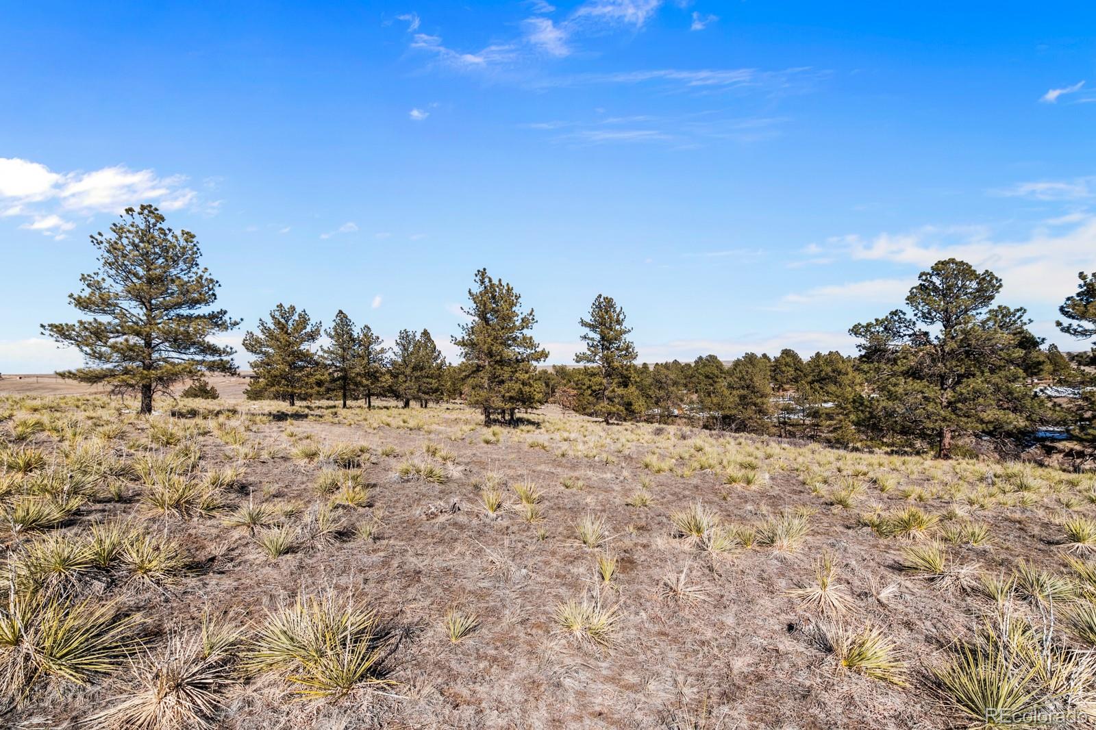 764 County Road 194
