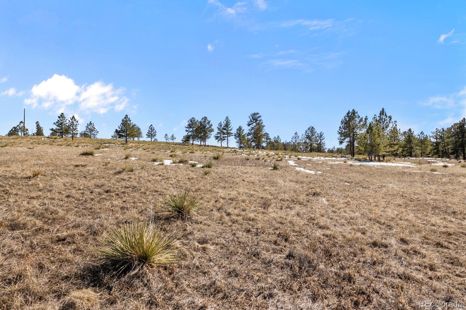 764 County Road 194