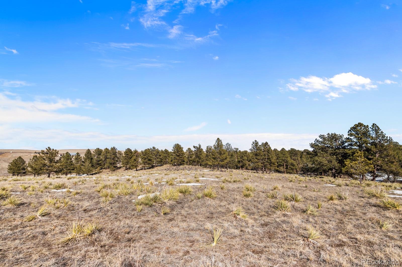 764 County Road 194