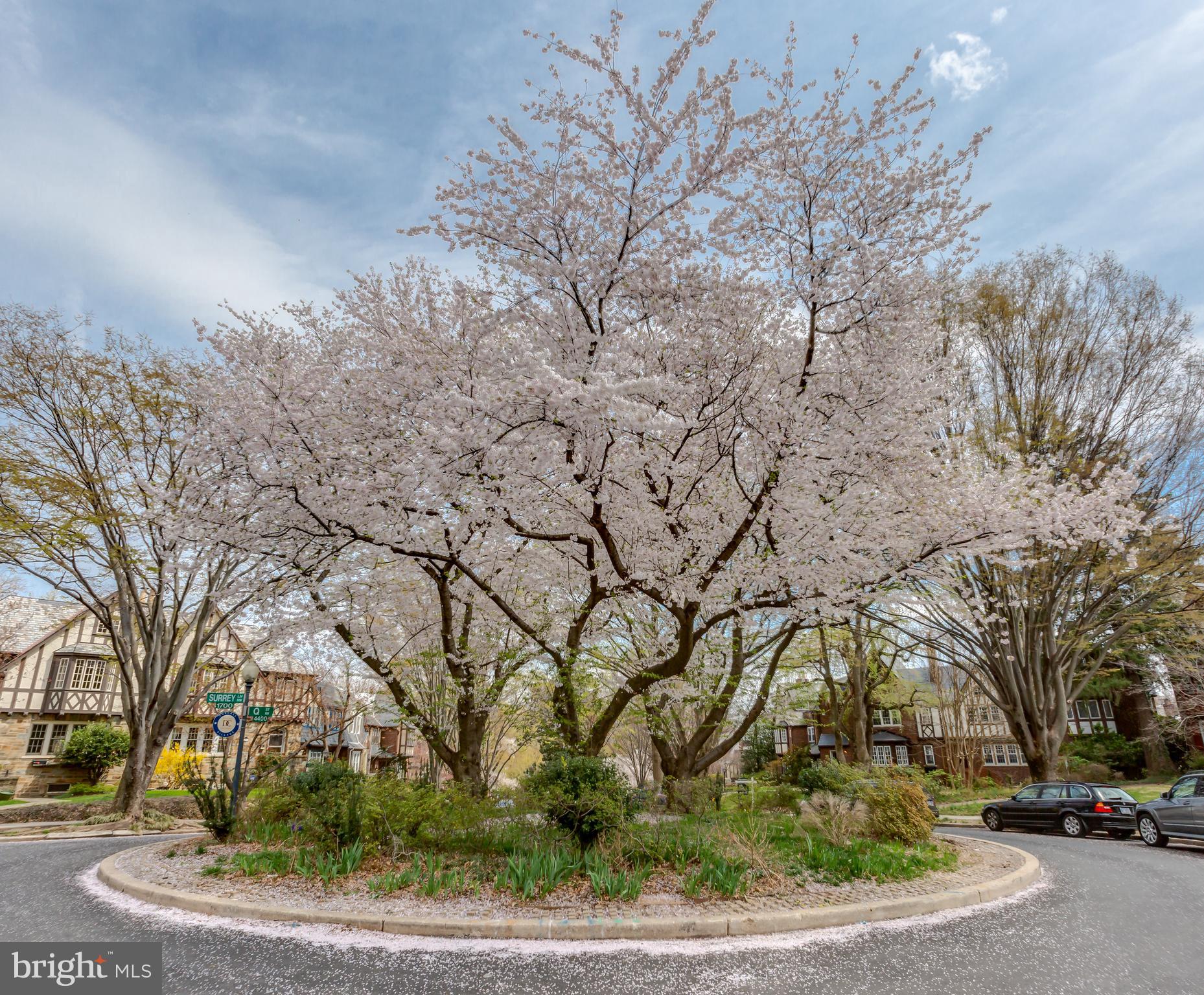 4428 Greenwich PARKWAY NW