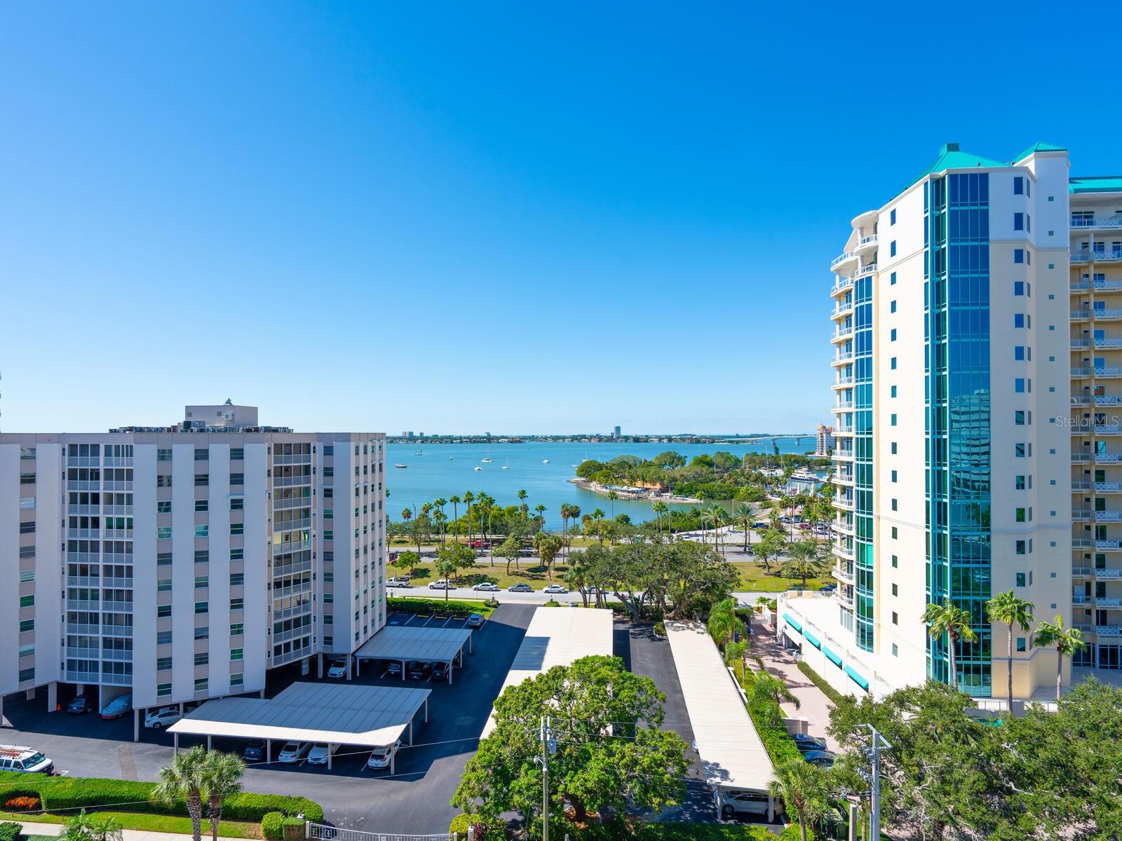 401 S PALM AVENUE Unit: 1002