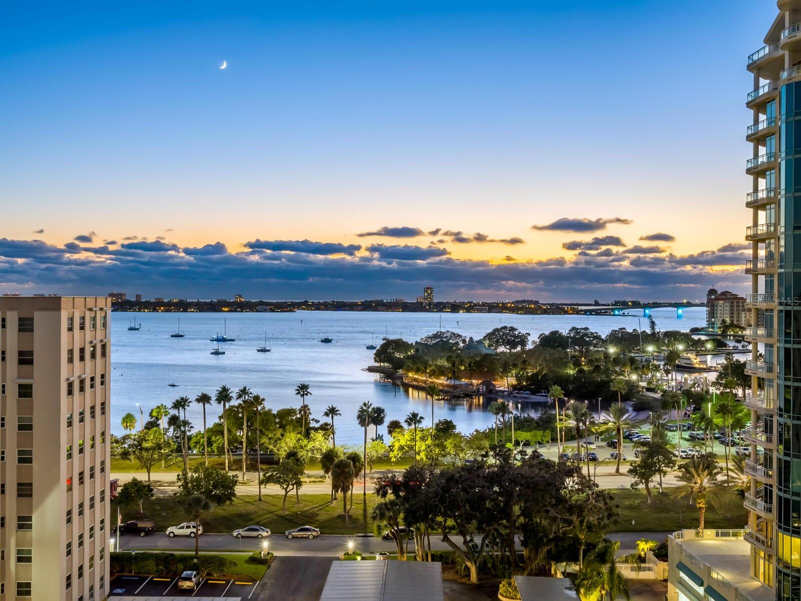 401 S PALM AVENUE Unit: 1002