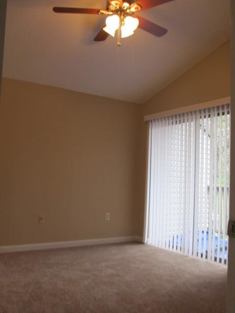 153 BON TEMPS ROULE Other