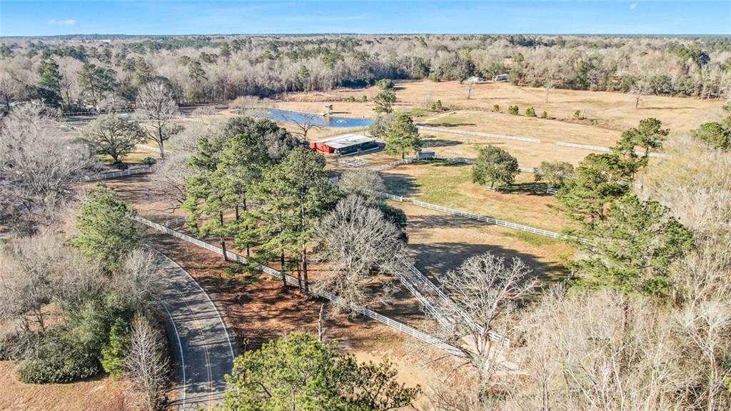 27471 HWY 40 (29.2 ACRES) Highway