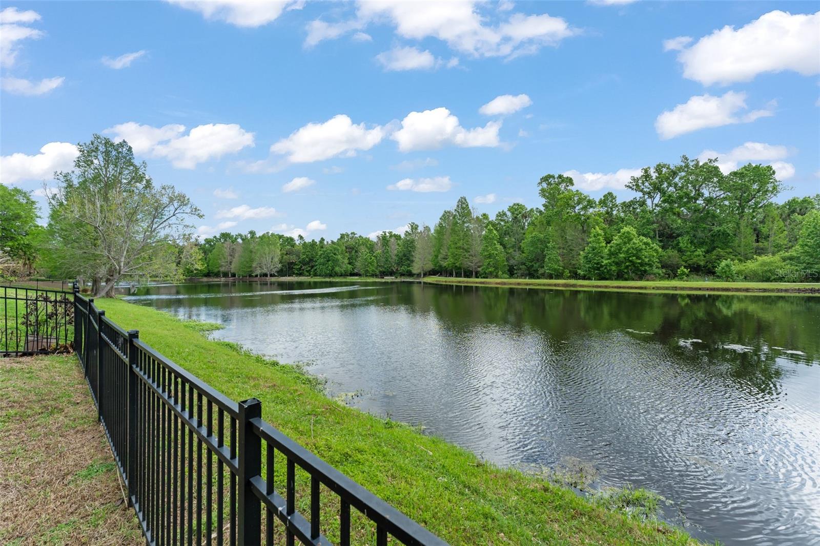 733 EASTLAWN DR