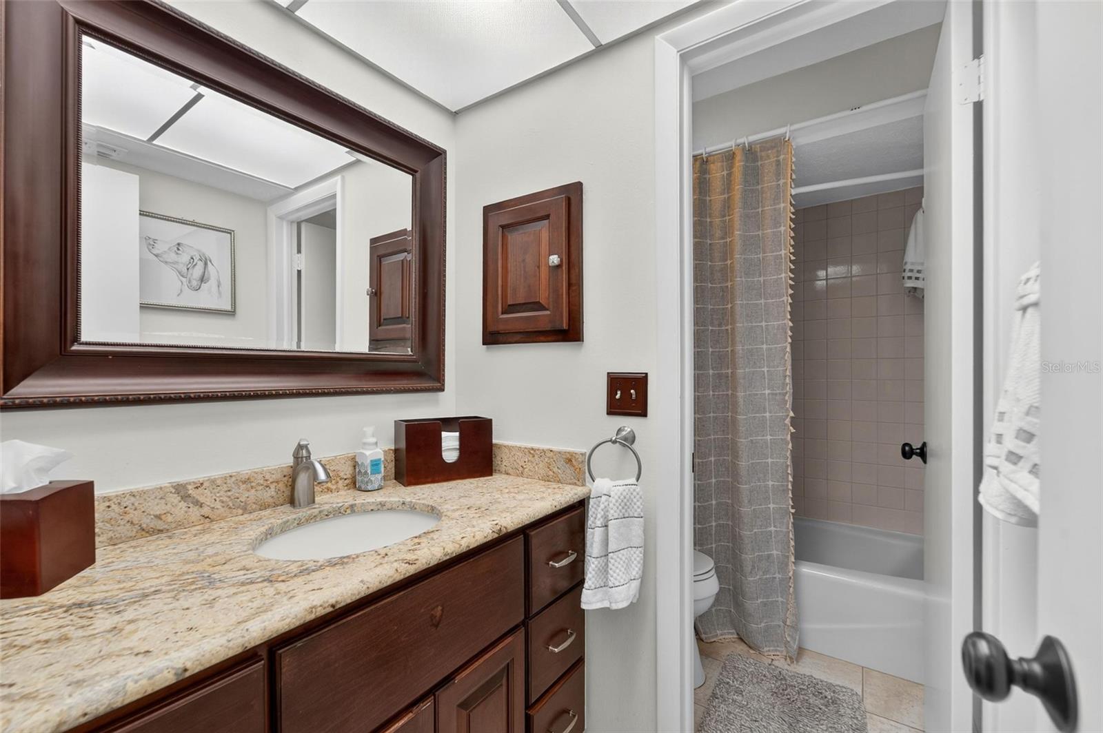 12510 SHADOW RUN BLVD