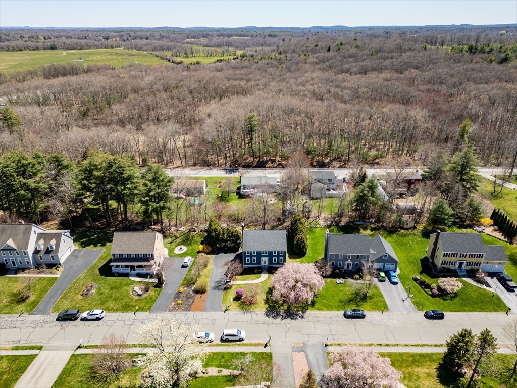43 Frances Drive