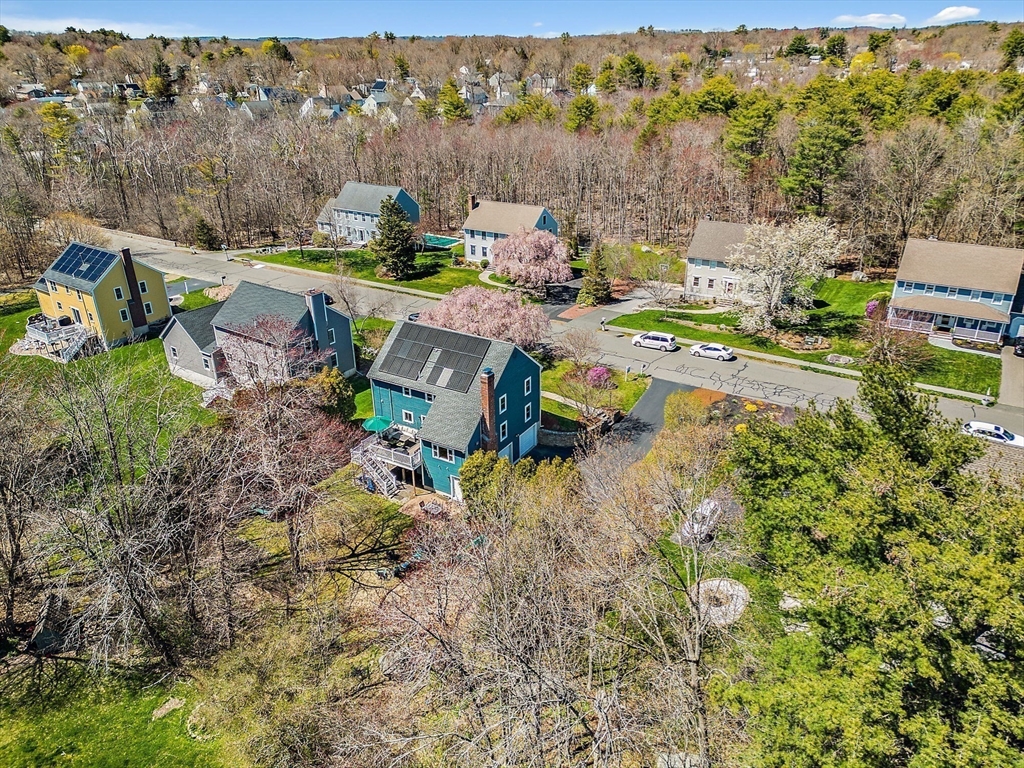 43 Frances Drive