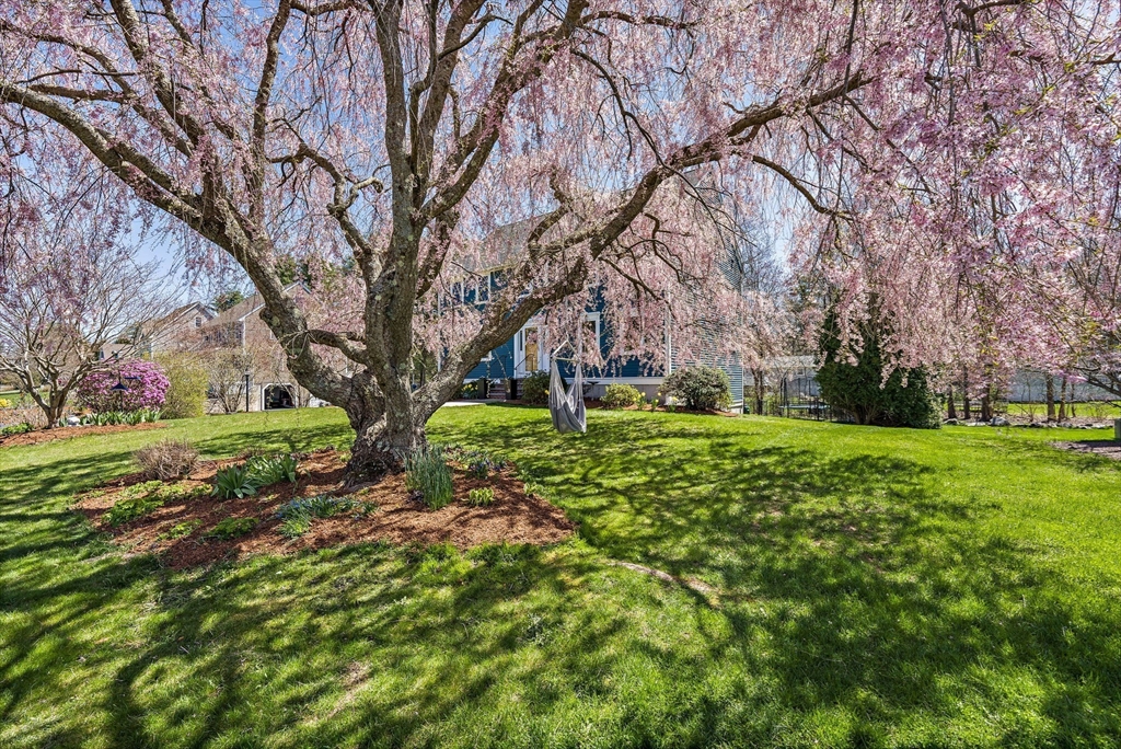43 Frances Drive
