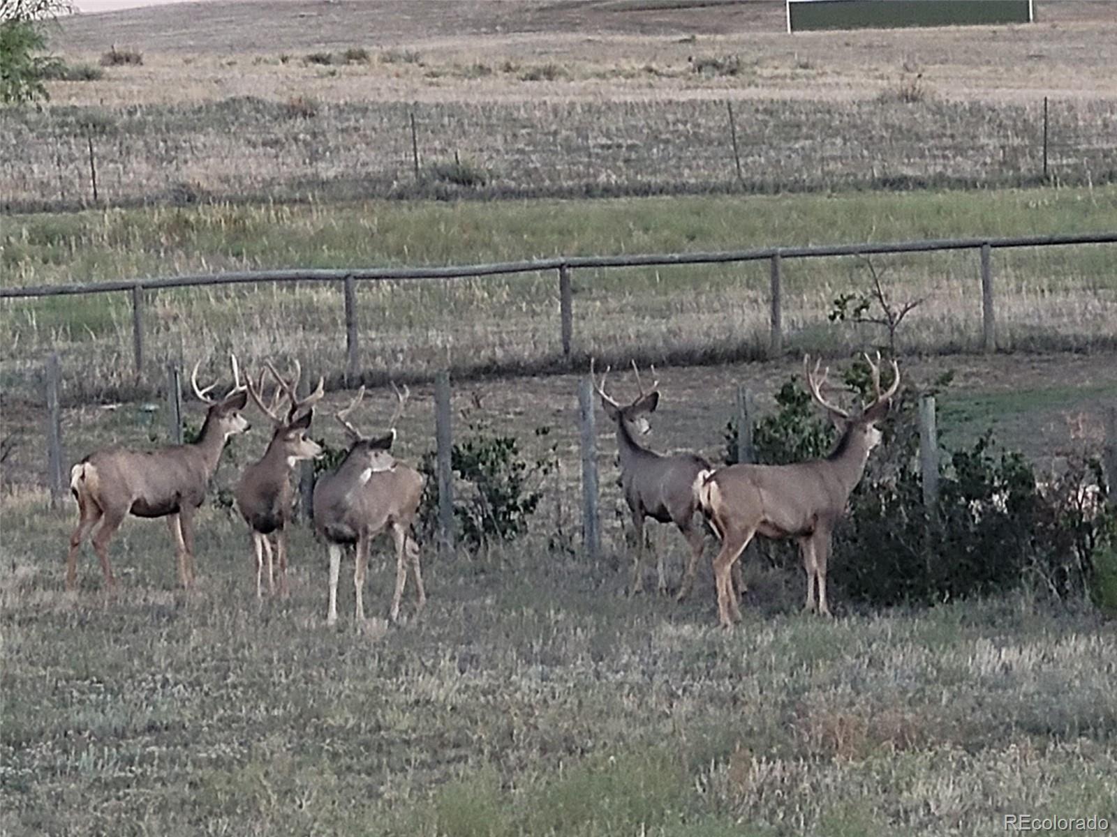 7736 S Shenandoah Drive