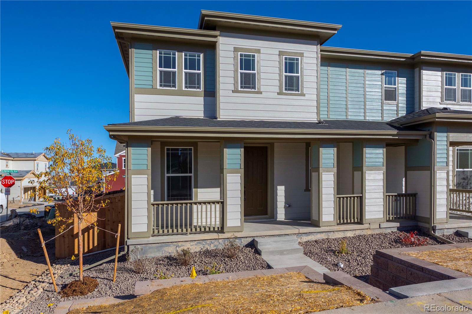 17490 Alpine Lily Street