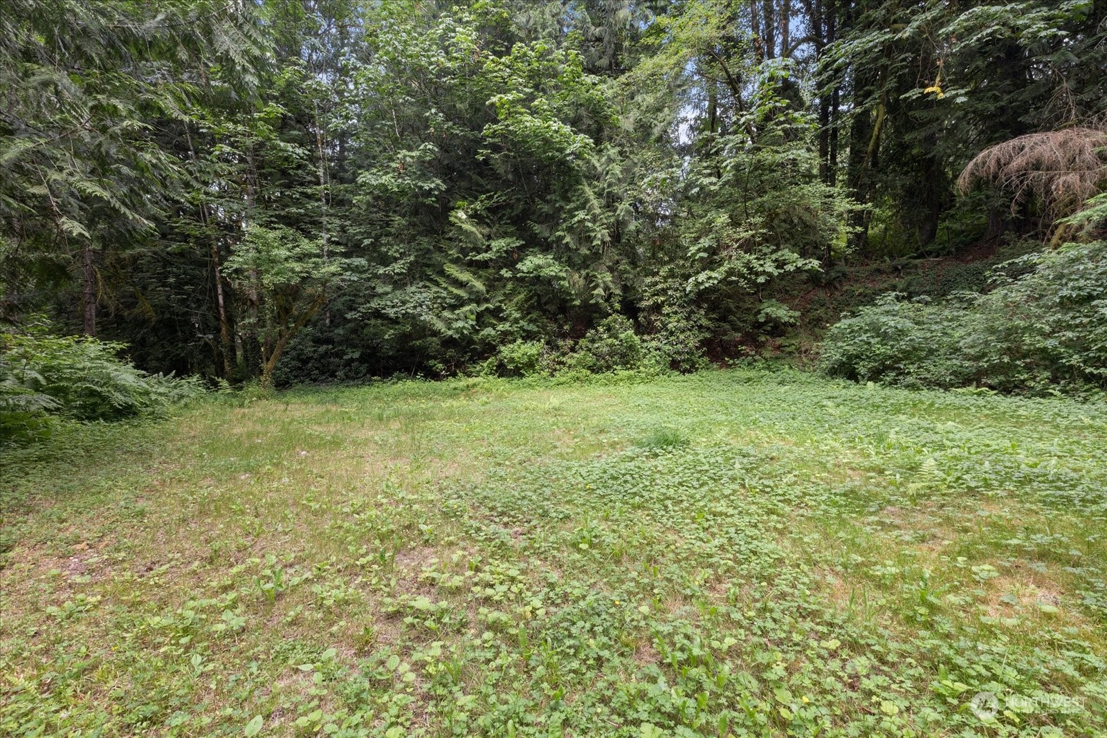 41724 SE 66th Street