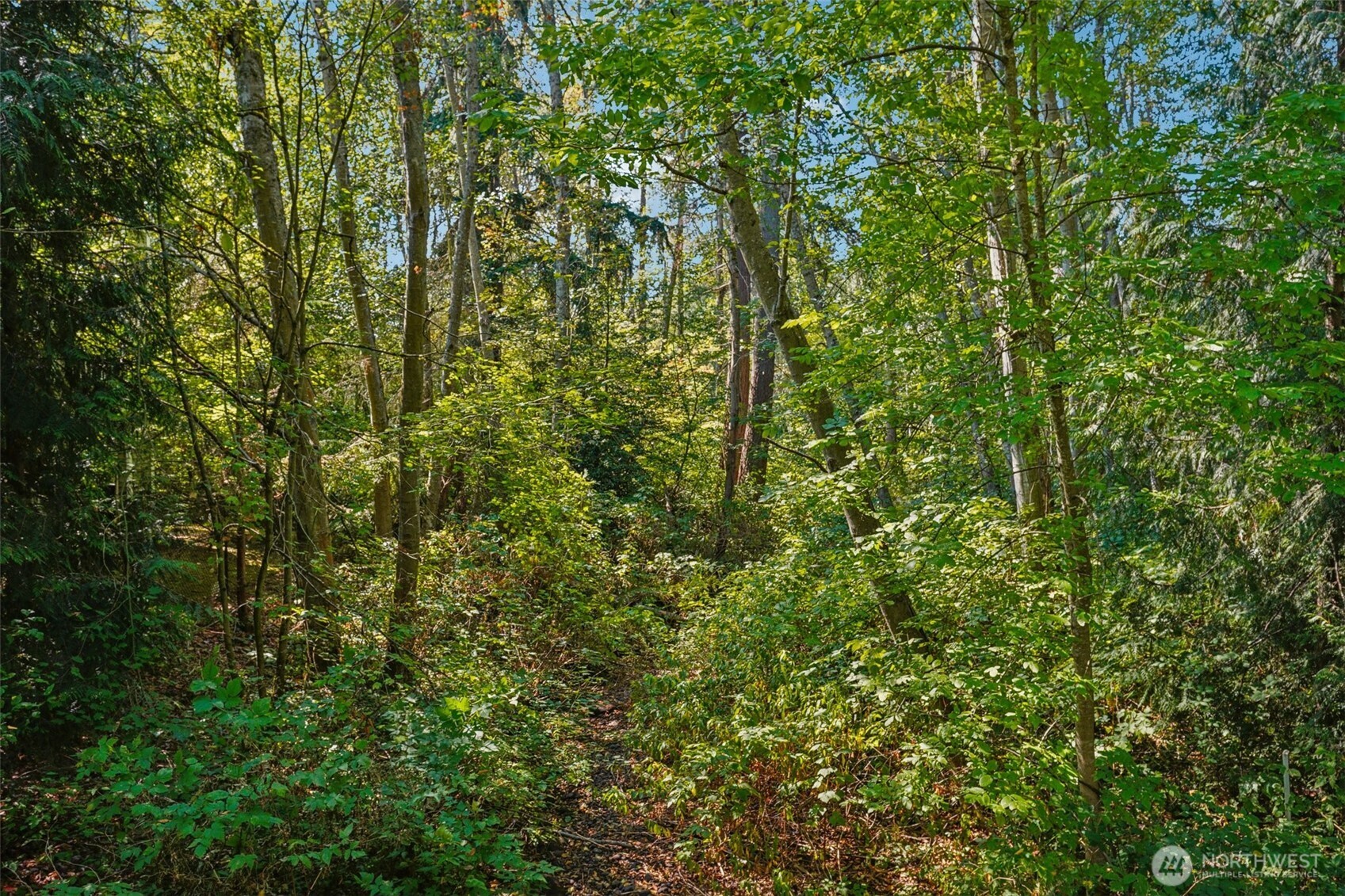 12712 Admiralty Way Unit: C-206