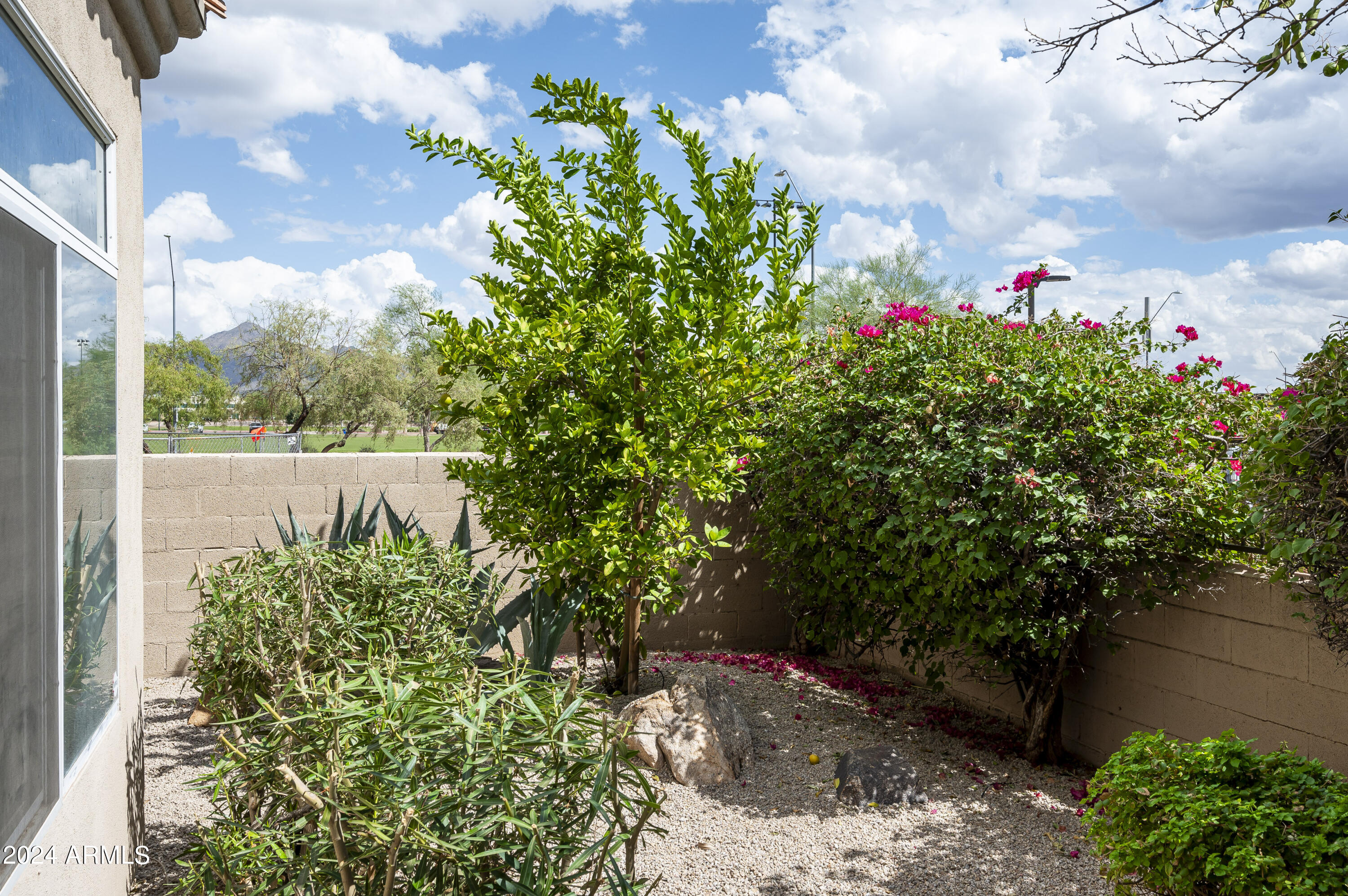 7979 E Princess Drive # 14