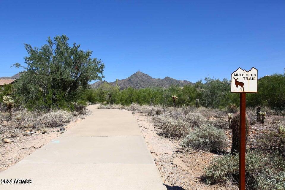 10796 E BETONY Drive