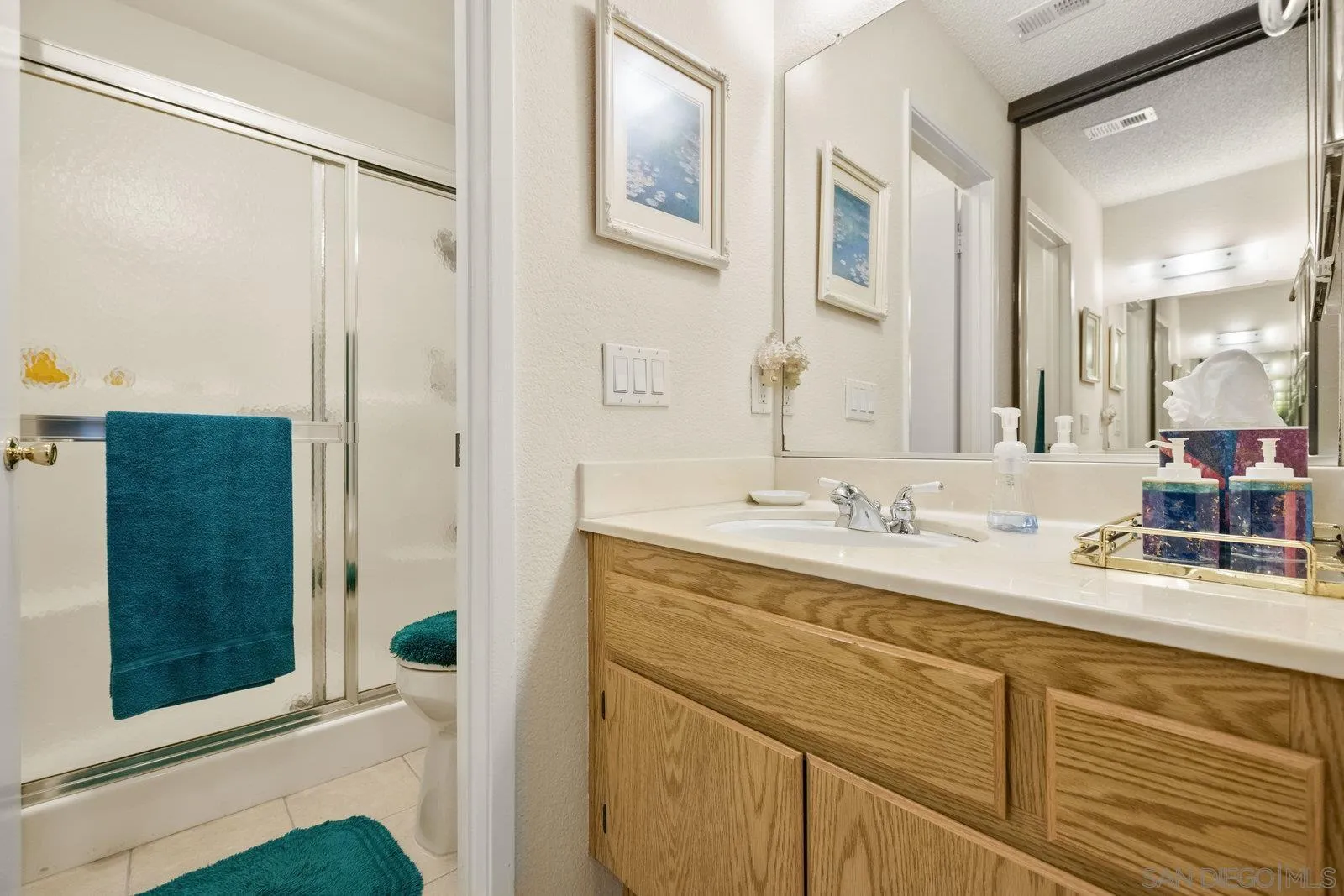 10311 Azuaga St Unit #46