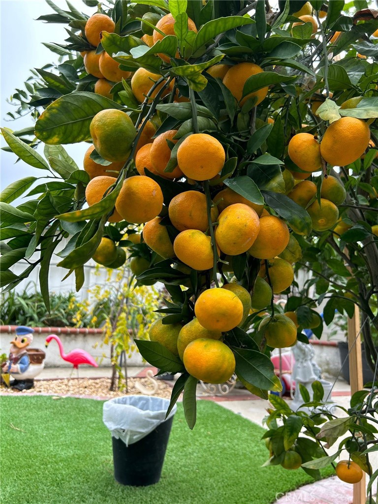 14602 Devonshire Avenue