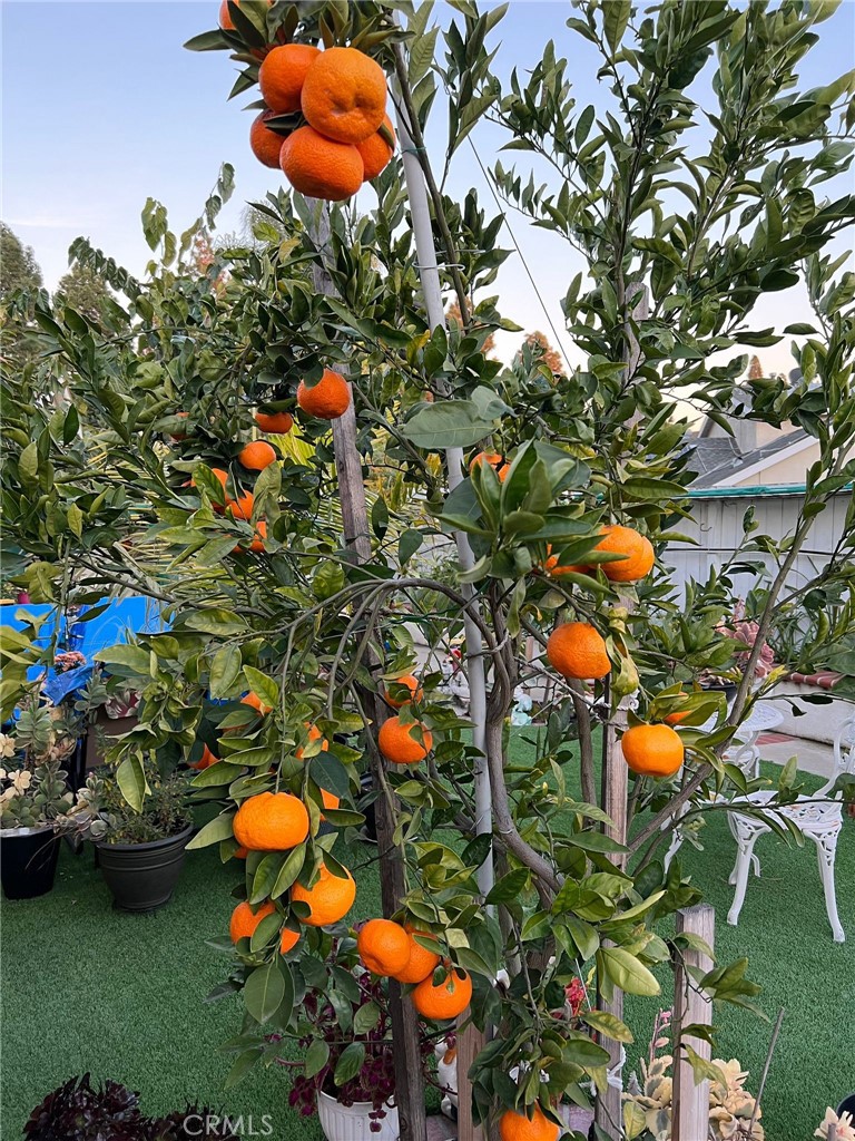 14602 Devonshire Avenue