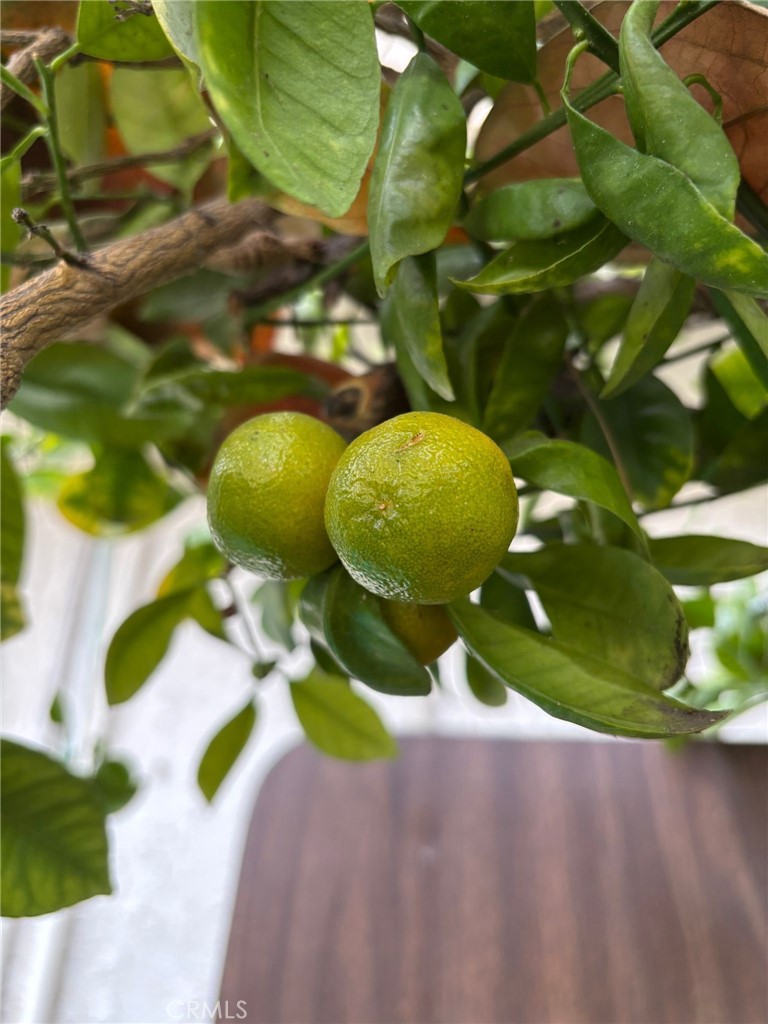 14602 Devonshire Avenue