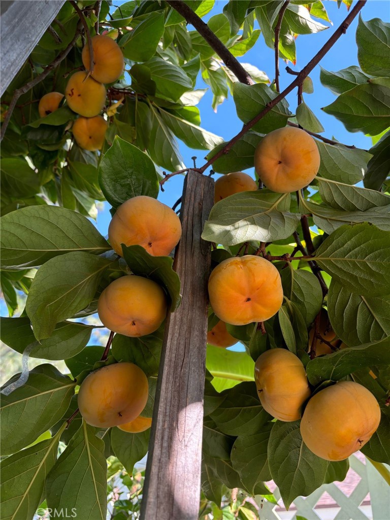 14602 Devonshire Avenue