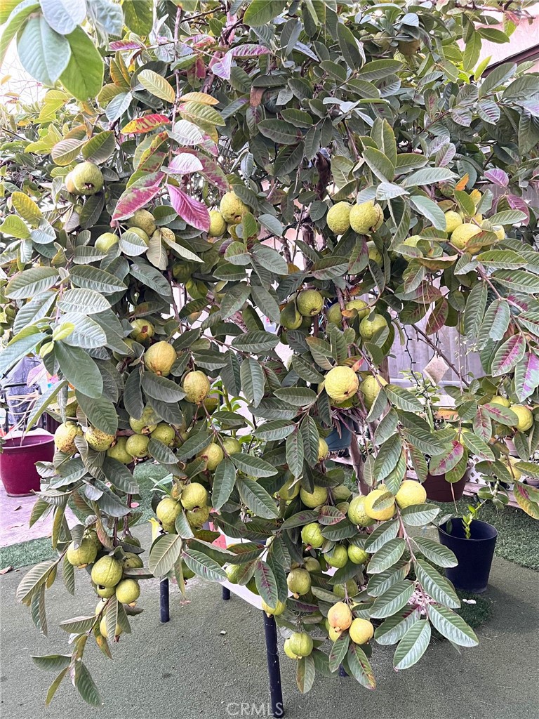 14602 Devonshire Avenue