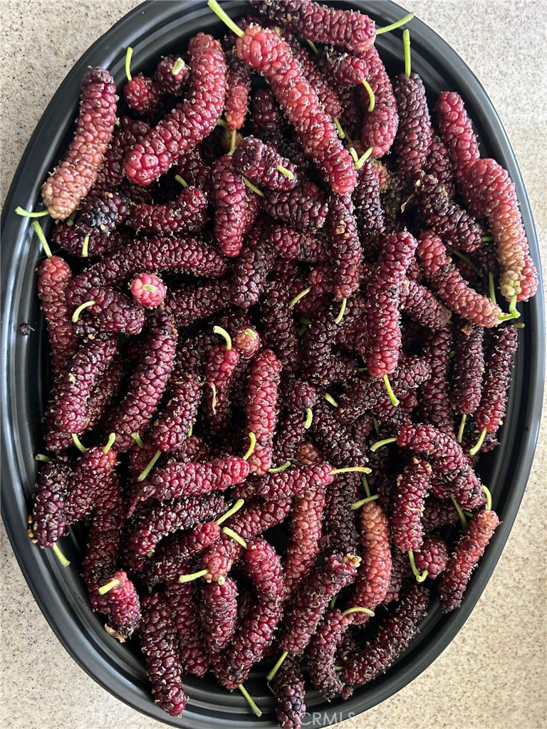 14602 Devonshire Avenue