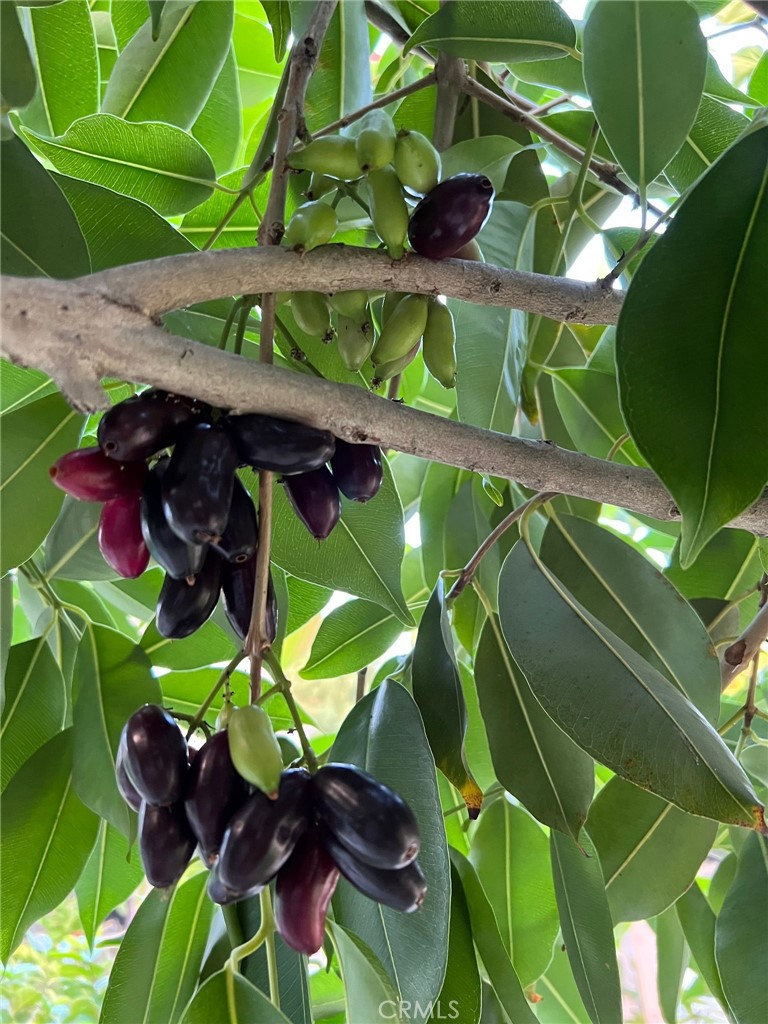 14602 Devonshire Avenue